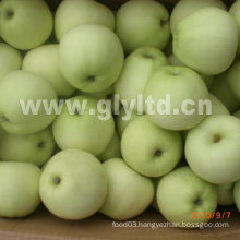 New Crop Fresh Golden Apple Grade a and B